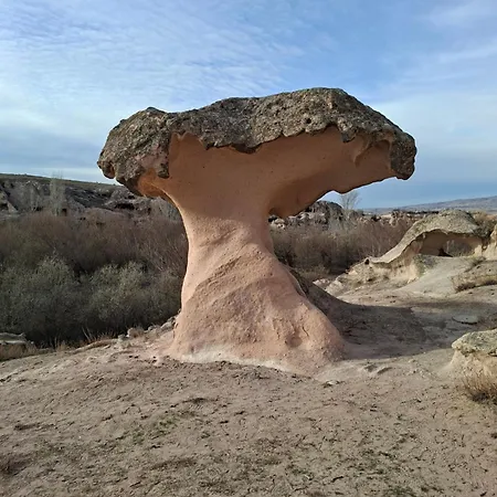 公寓 Cappadocia Beyaz 1 Gulsehir