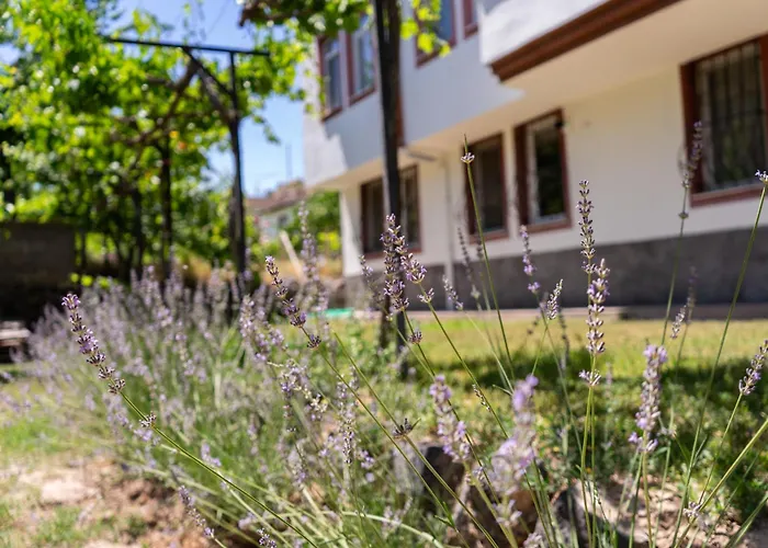 Cappadocia Beyaz 1 *