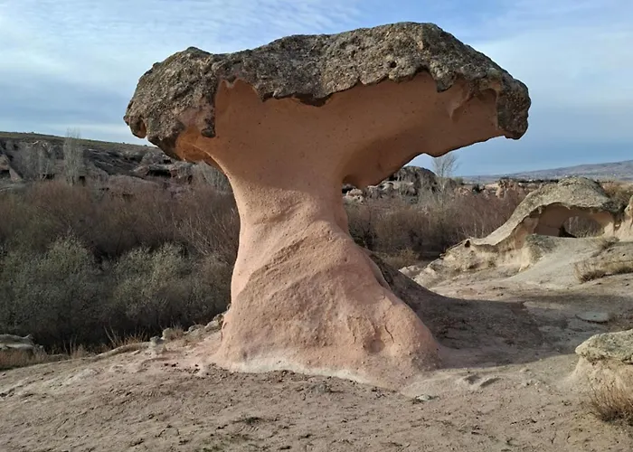 公寓 Cappadocia Beyaz 1 Gulsehir